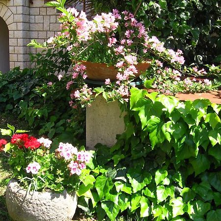 Guest House Caterina Poreč Eksteriør bilde