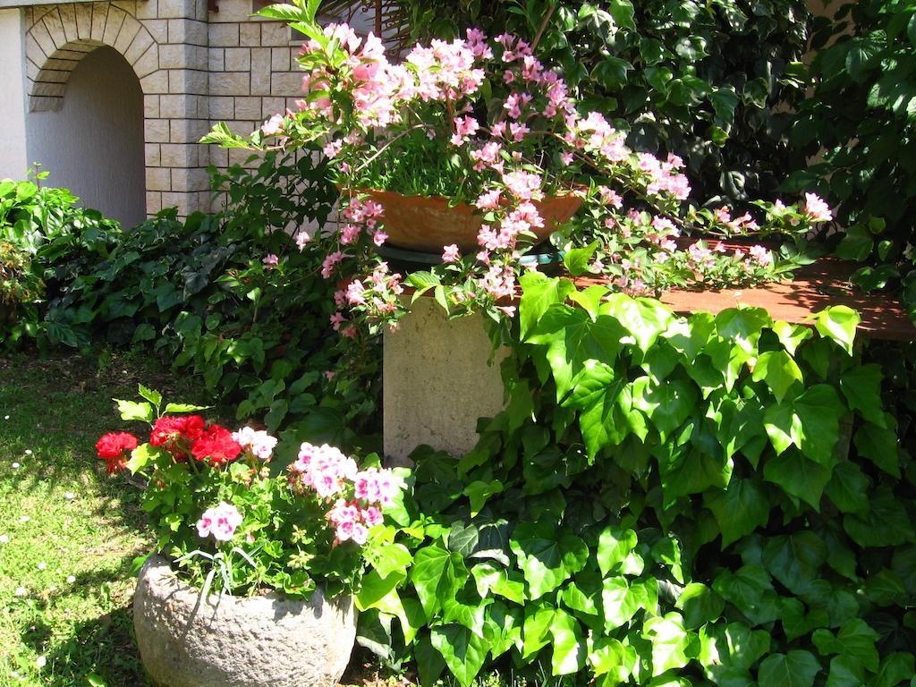 Guest House Caterina Poreč Eksteriør bilde